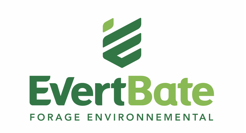 capture d’écran 2025 09 26 à 11.06.20