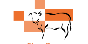 capture d’écran 2026 03 08 à 17.33.04